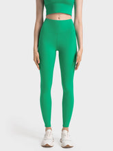 Load image into Gallery viewer, 25&quot; Leggings (NPML395)