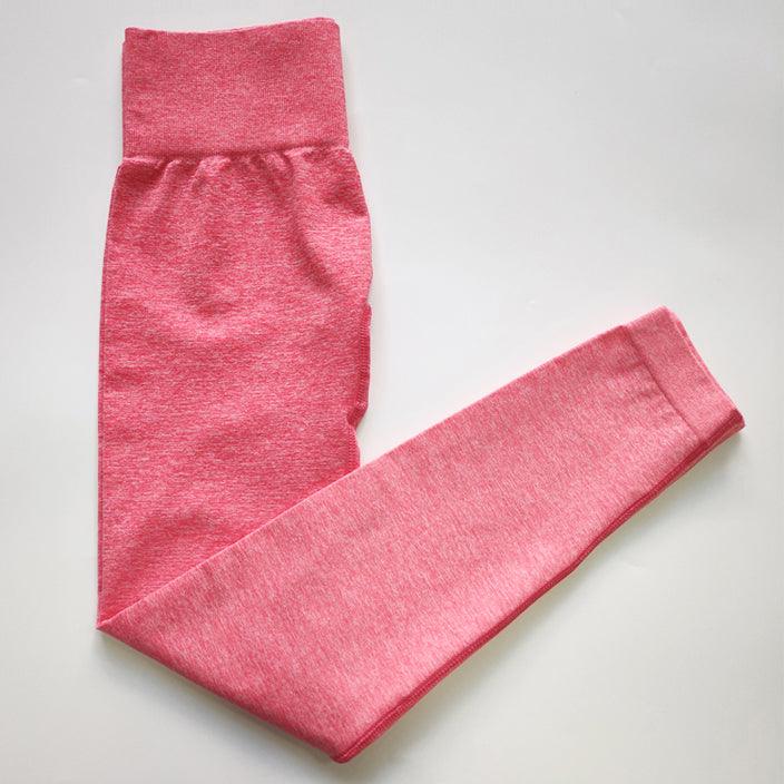 Ombre Seamless Leggings - Nepoagym Official Store