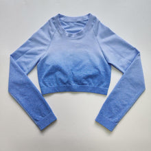 Load image into Gallery viewer, Ombre Seamless Top - Nepoagym Official Store
