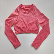 Load image into Gallery viewer, Ombre Seamless Top - Nepoagym Official Store