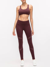 Load image into Gallery viewer, FLY Bra