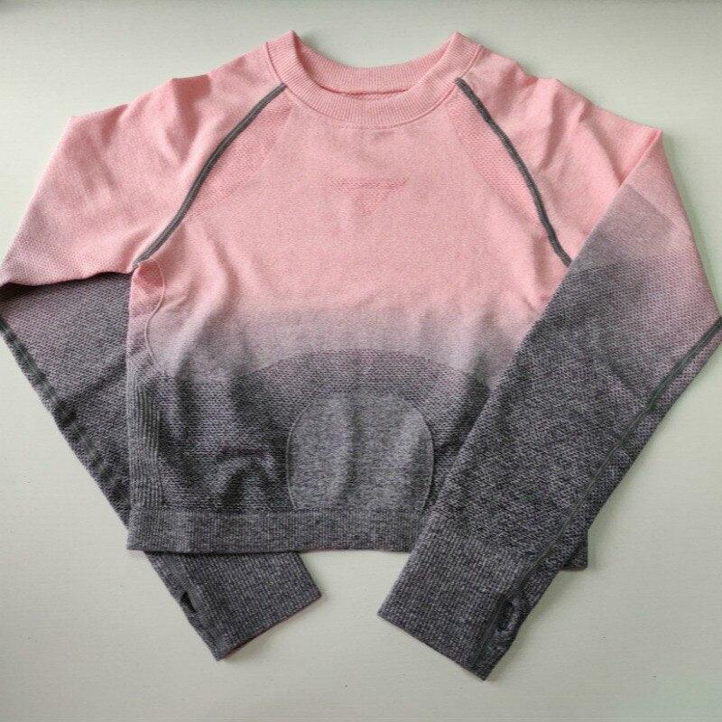 Ombre Cropped Seamless Tops - Nepoagym Official Store