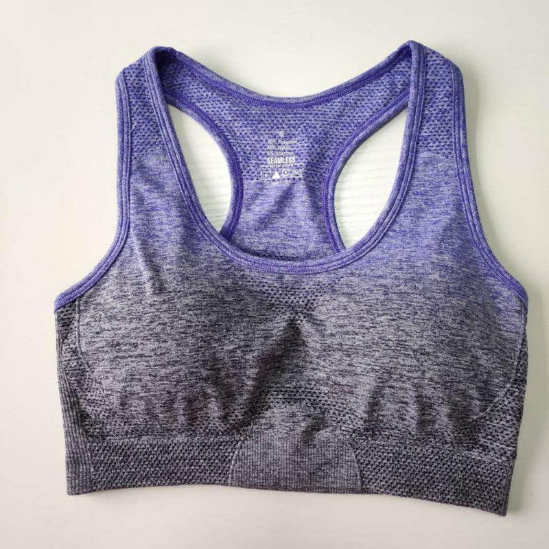 Ombre Seamless Sport Bras - Nepoagym Official Store