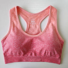 Load image into Gallery viewer, Ombre Seamless Sport Bras - Nepoagym Official Store