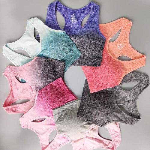 Ombre Seamless Sport Bras - Nepoagym Official Store