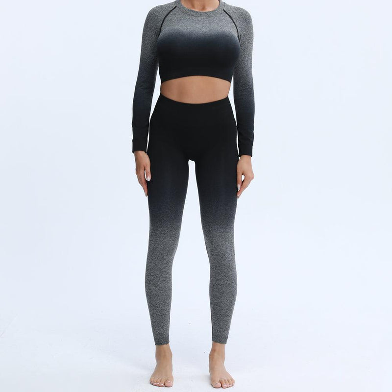 Ombre Seamless Top - Nepoagym Official Store